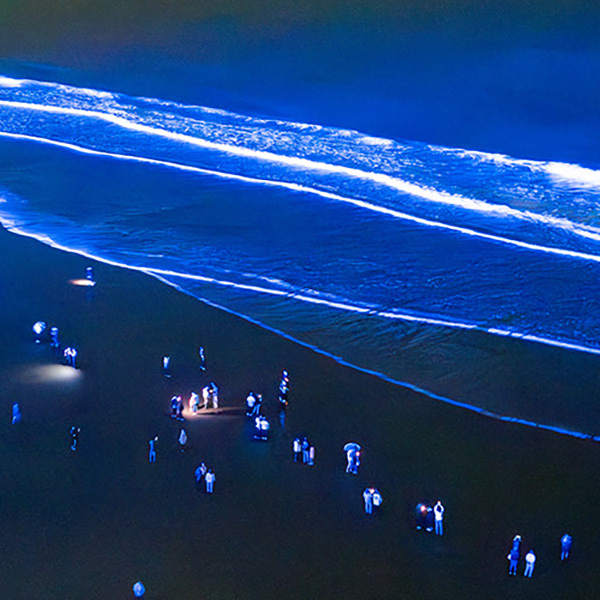 NIGHT WAVE